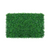 Boxwood Hedge Panels for Stunning Surroundings
