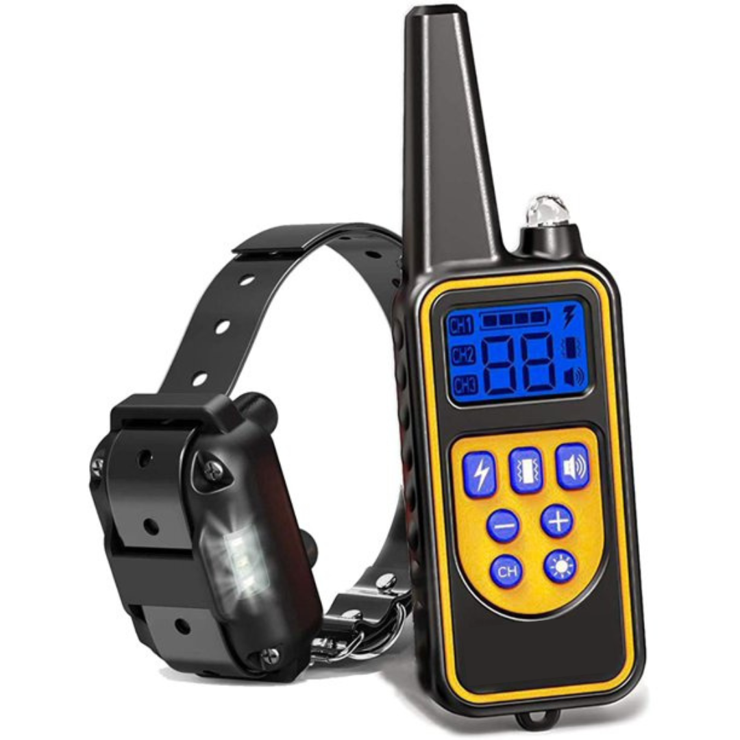 gogcollar2