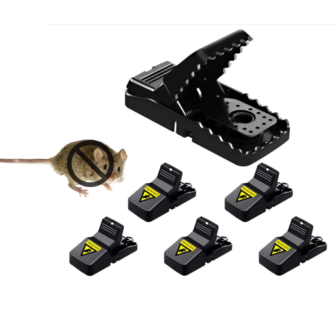rat1111