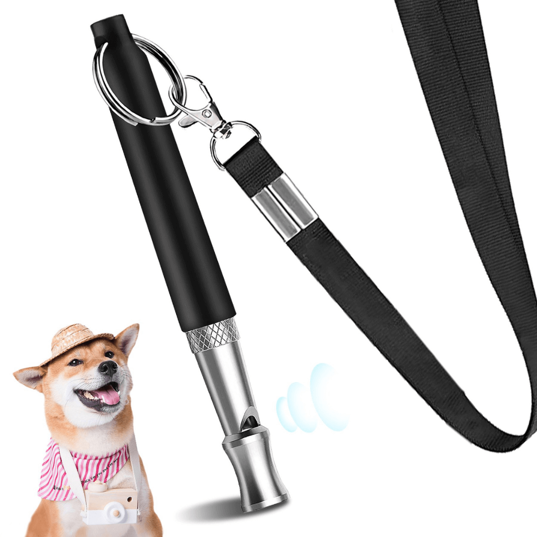 whistle1